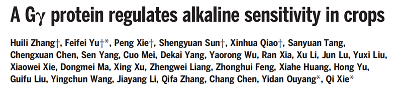 助力科研，MKSPORTS反转录和qPCR产品荣登Science
